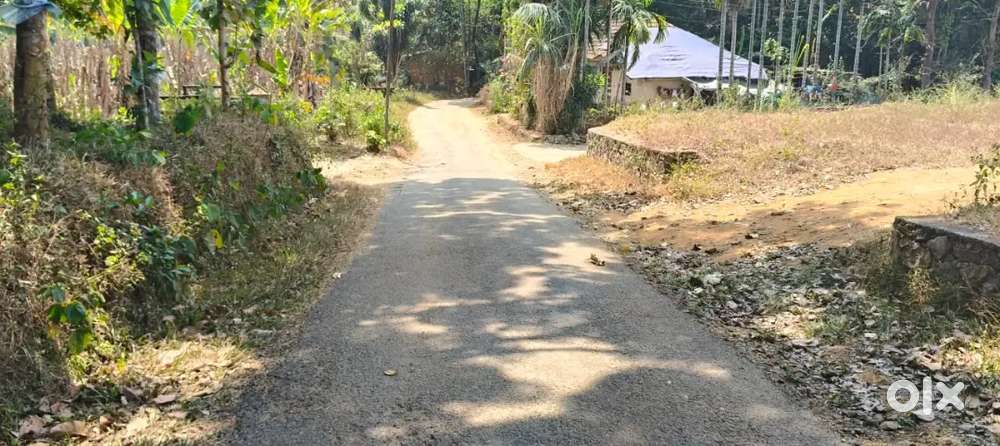 Kothamangalam - Nellimattam 10 Cent Posh residential plot for Sale
