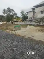 3.650 CENTS OF ORIGINAL LAND SALE THAMMANAM APPOLO ROAD