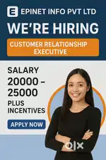 Customer Relationship Executive