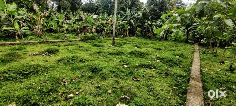 10 cent plot with well and compound wall