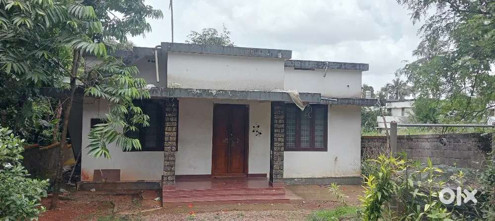 Manuthy vattikkal 3bhk house for rent