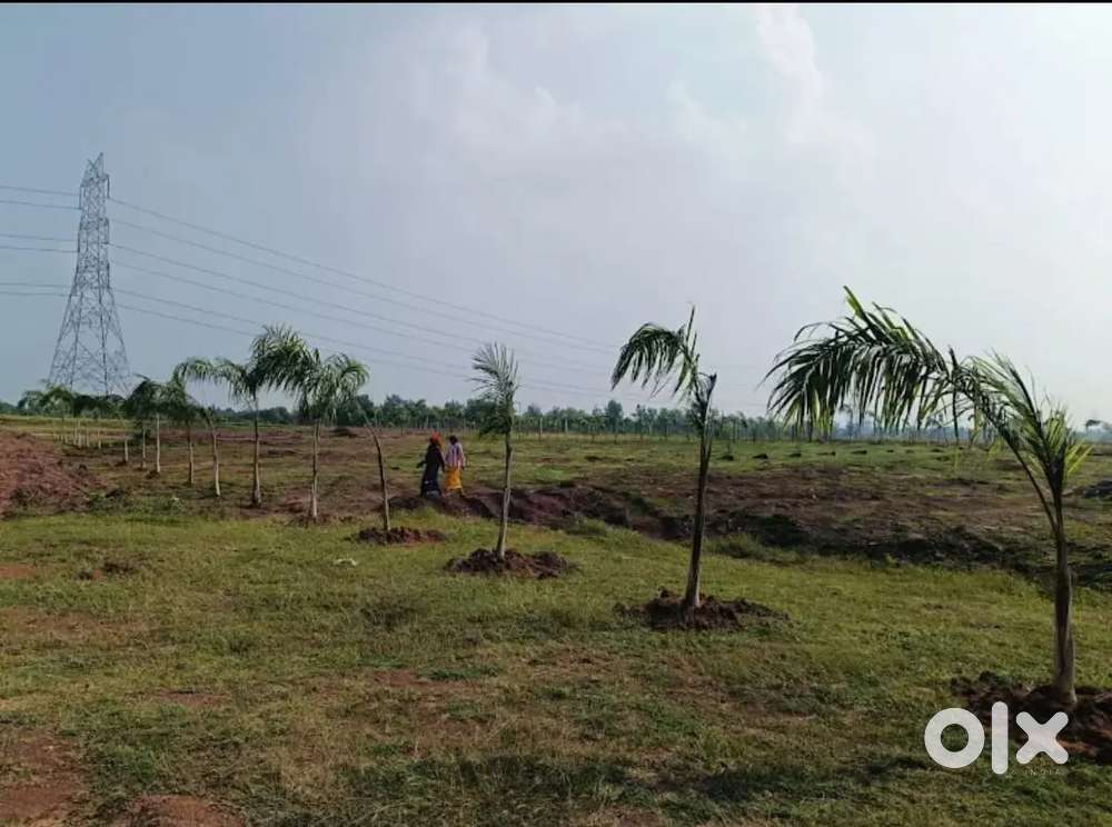 Farm house plot