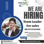 Tl as a Team Leader