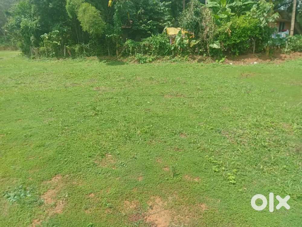 Plots and villas sale at kongad palakkad