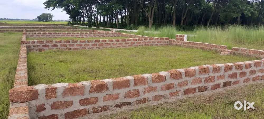 Low cost plot jagatpur