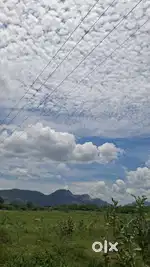 You can use my land as godowns and also to build a badminton court.