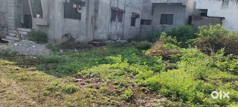 पोलोट नबर /94/1/49