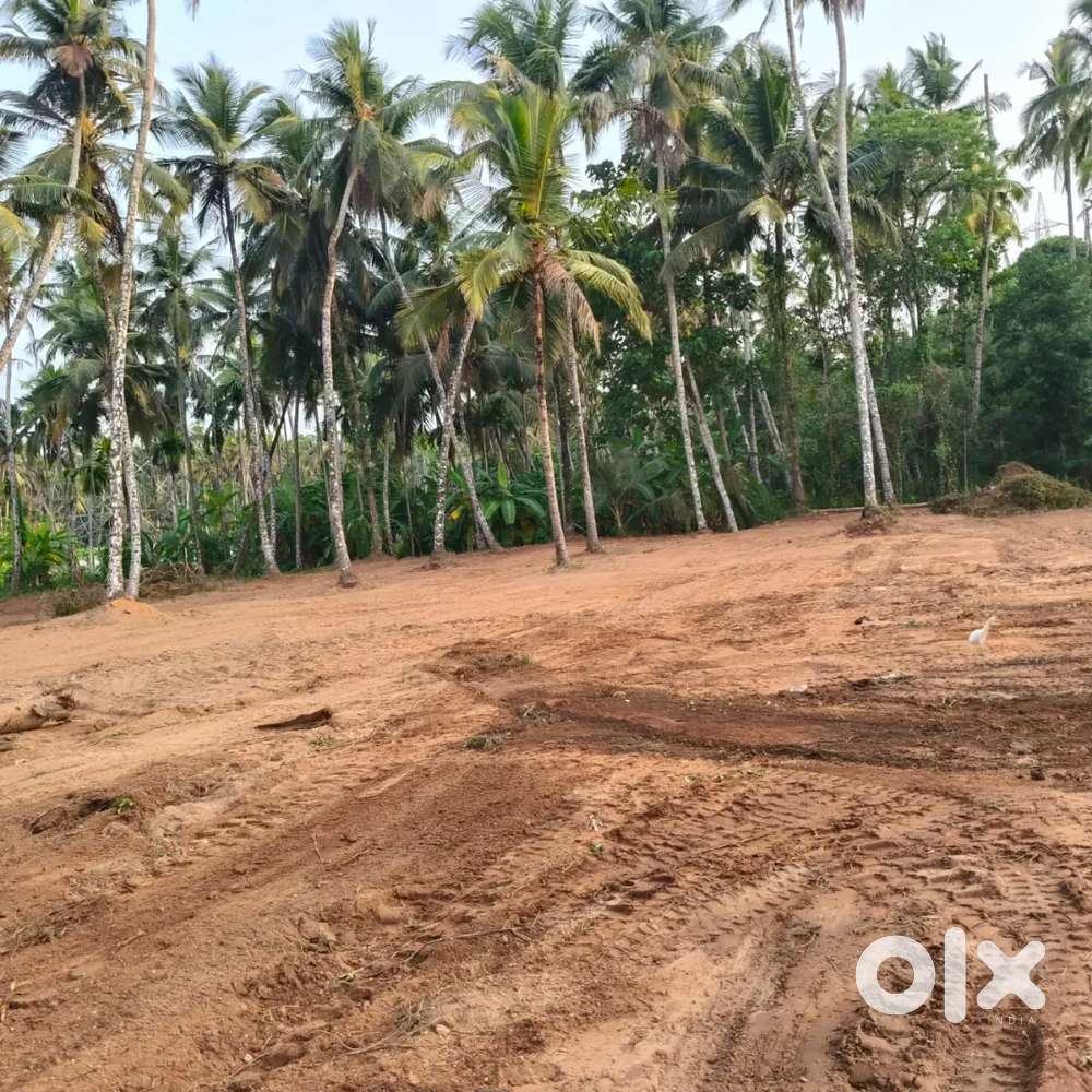 Land for sale