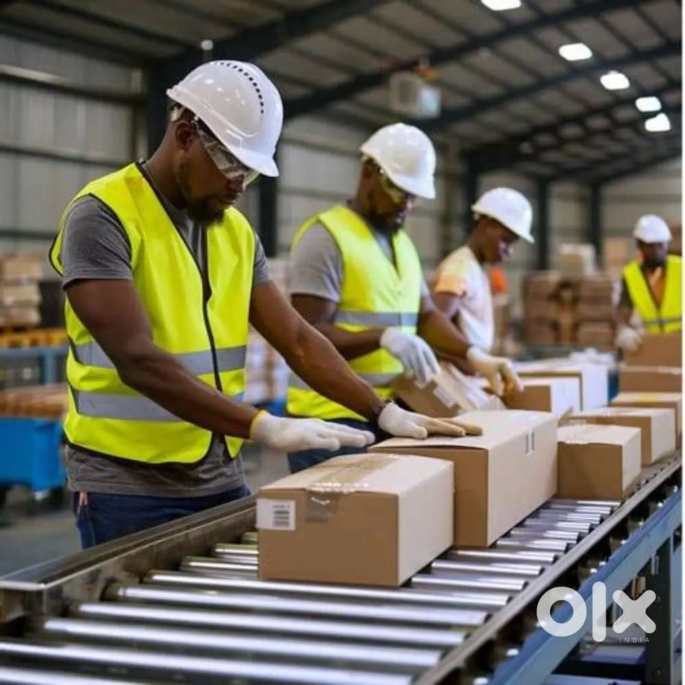 Packing job Only boys Ecommerce