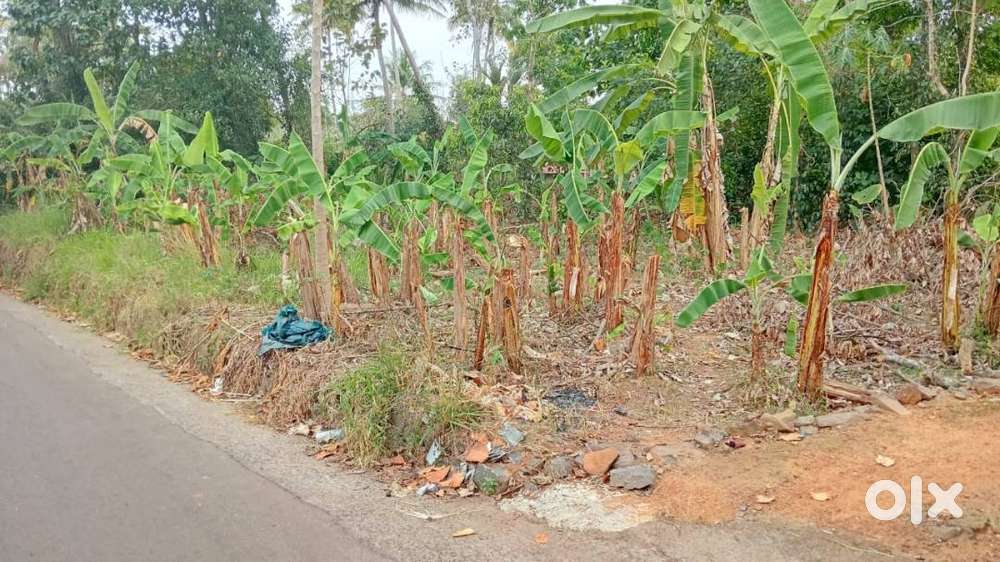 Plot For Sale @ Njaliyakuzhy