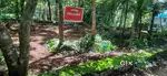 Prime 12-Cent Residential Plot for Sale in Pirappancode, Trivandrum