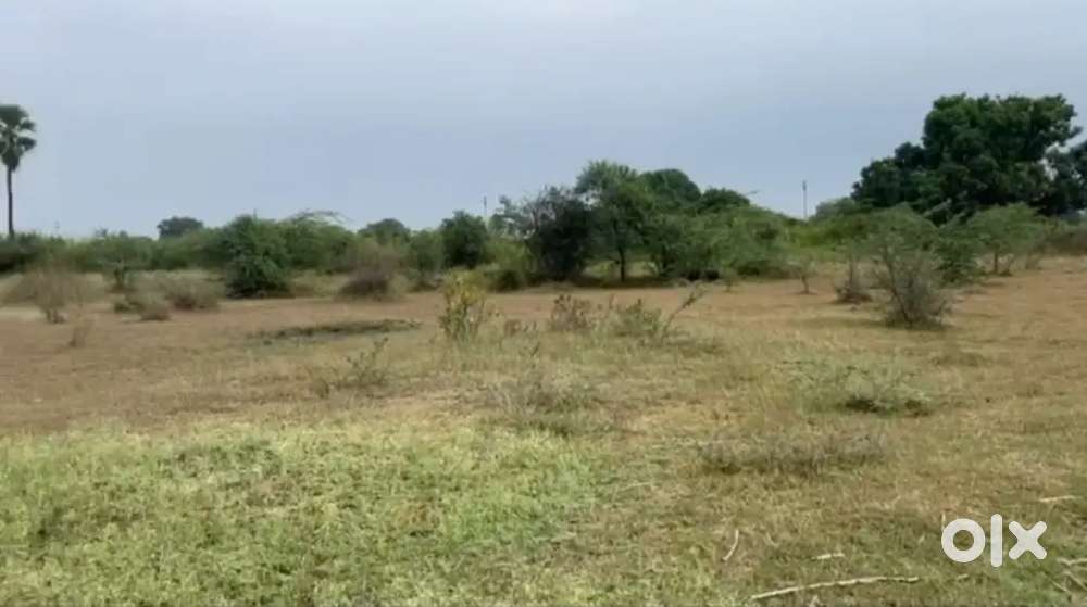 PER SQYD 12,000 near SHAMSHABAD