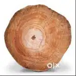 Teakwood/ Jackwood /Wildjack/ Kunni/ Mulluvenga – Thinoor(Kozhikode)