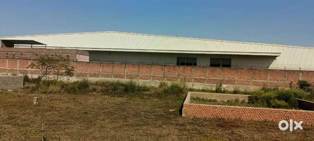 Patna plot for sell