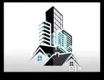 Need back office executive