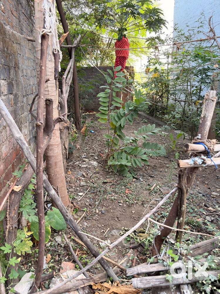 Sell this plot and best location