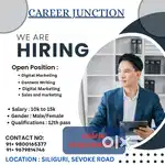 Sales and Survey
