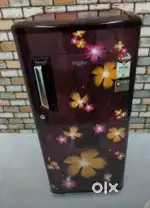 Second hand  fridges  shop