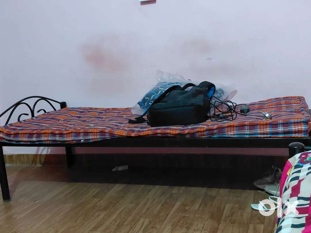 Need Female Roommate for PG