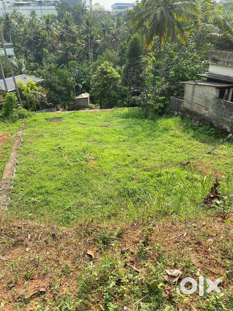 10 cents of land for sale near Puliyarakonam