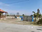 Plot for Sale in Garhwali colony near park dharmuchak Doiwala