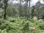 2 ACRE FARM LAND FOR SALE AT MANANTHAVADY