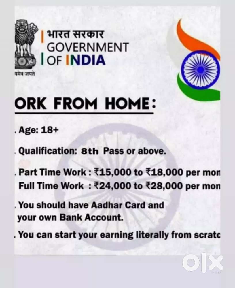 Work From Home government project