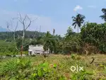 Land for Sale in Kalpetta Vengapally