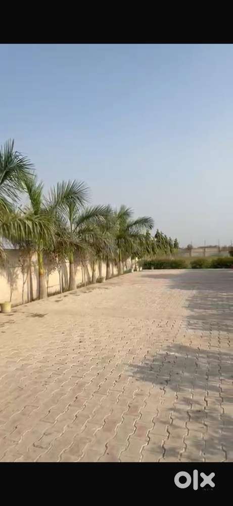 Farm house land in noida near by FNg