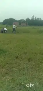 Dips Gautam  plot