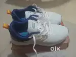 Campus hurricane Shoes