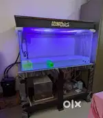 Selling fish tank