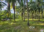 2 Acre farmland for sale in Kozhinjampara, Palakkad
