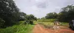 **Manarukadu Land for Sale**