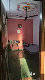 Looking for a vegetarian roommate boy