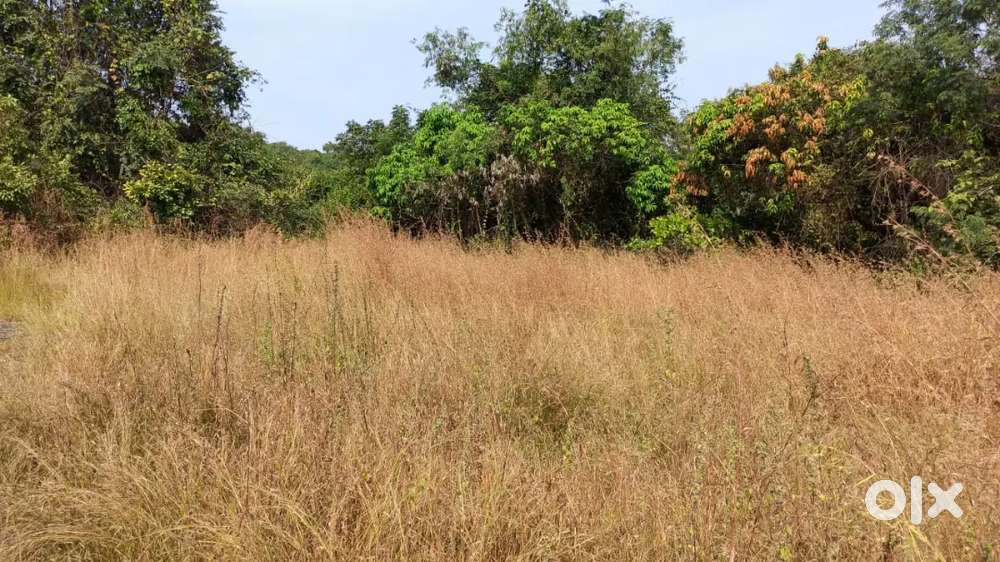 SETTLEMENT PLOT CHORAO, AREA -362 SQ MTS, PRICE -@₹11999/SQ MTS