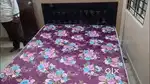Queen Bed and mattress