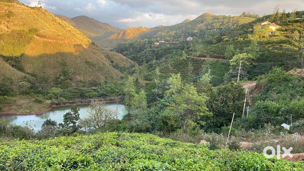 10 cent genuine land for sale