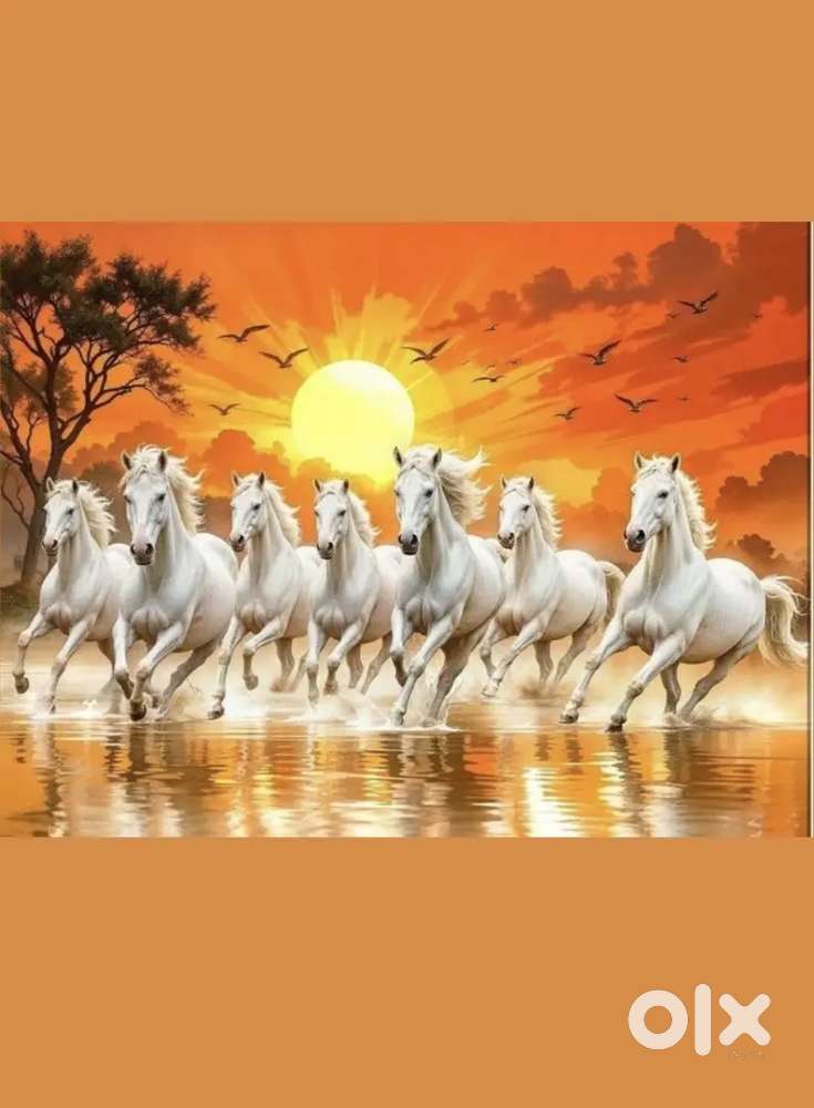 Editor video photo editor writer