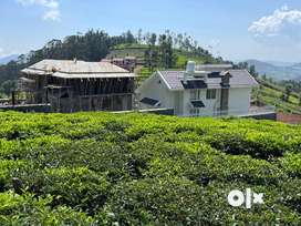 Gated Community Plot For Sale At Doodabetta Ooty 18 cents _73 lks