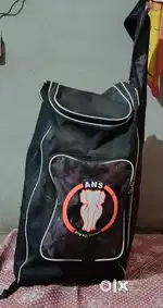 Cricket kit