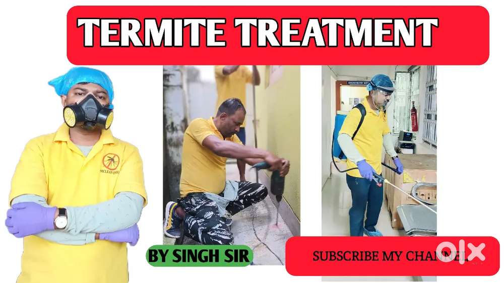 Pest Control Service