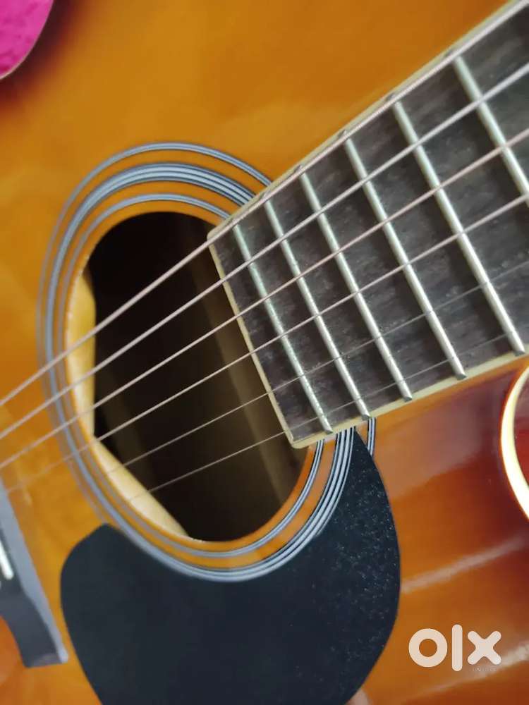 Hertz acoustic guitar