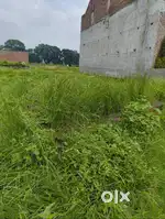 Boundry wall