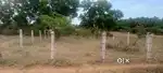 Land for immediate sale