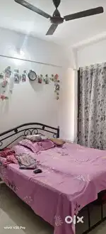 Looking for a Professional Female Room Partner (Girls Only)
