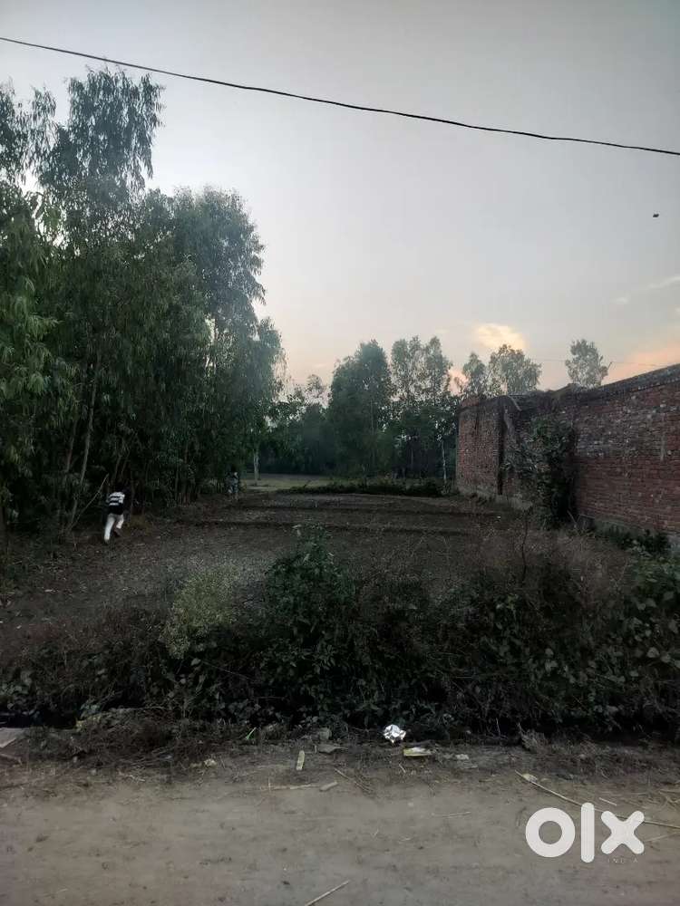 Argent sale 300 gaj erea 3000 per gajj