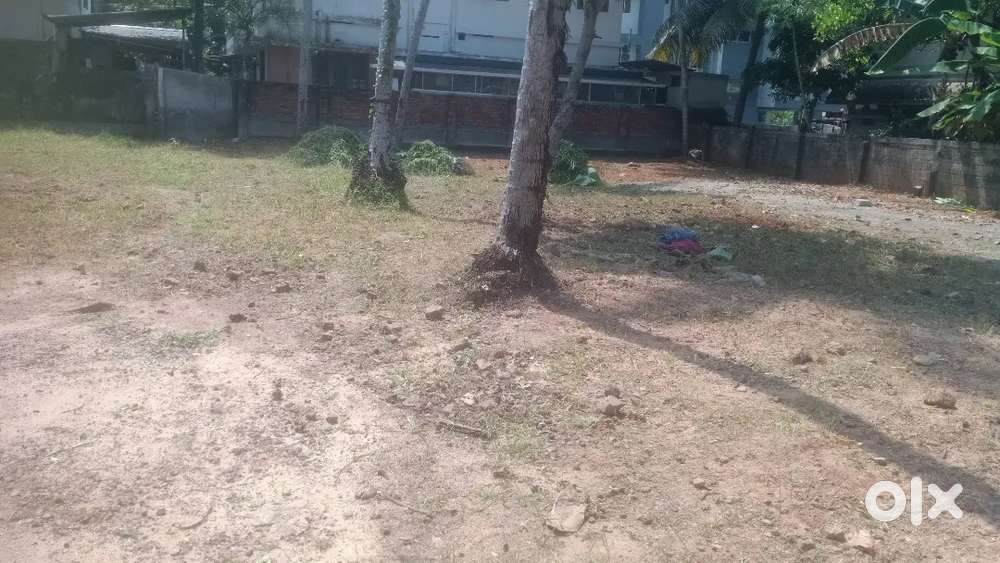 Anayara near lords hospital 4,4.5, 10 cent square plots 200 mtr bypas