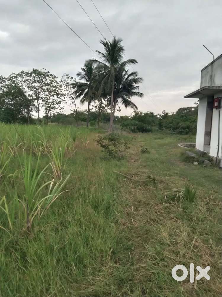 Agriculture property sale