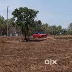 2acre agricultural land  near Belur Sakleshpura main raod side